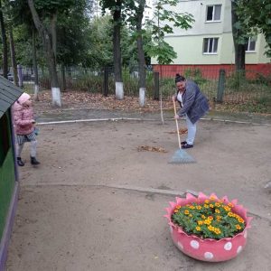 Teritoriile IET nr.225 și IET nr.161 sunt sistematic salubrizate și îngrijite