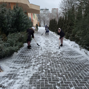 Curățarea căilor de acces în IET nr. 225